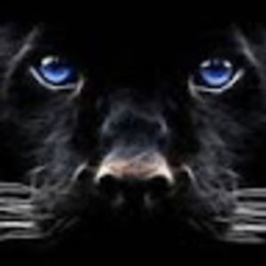 Meet your Posher, Mar